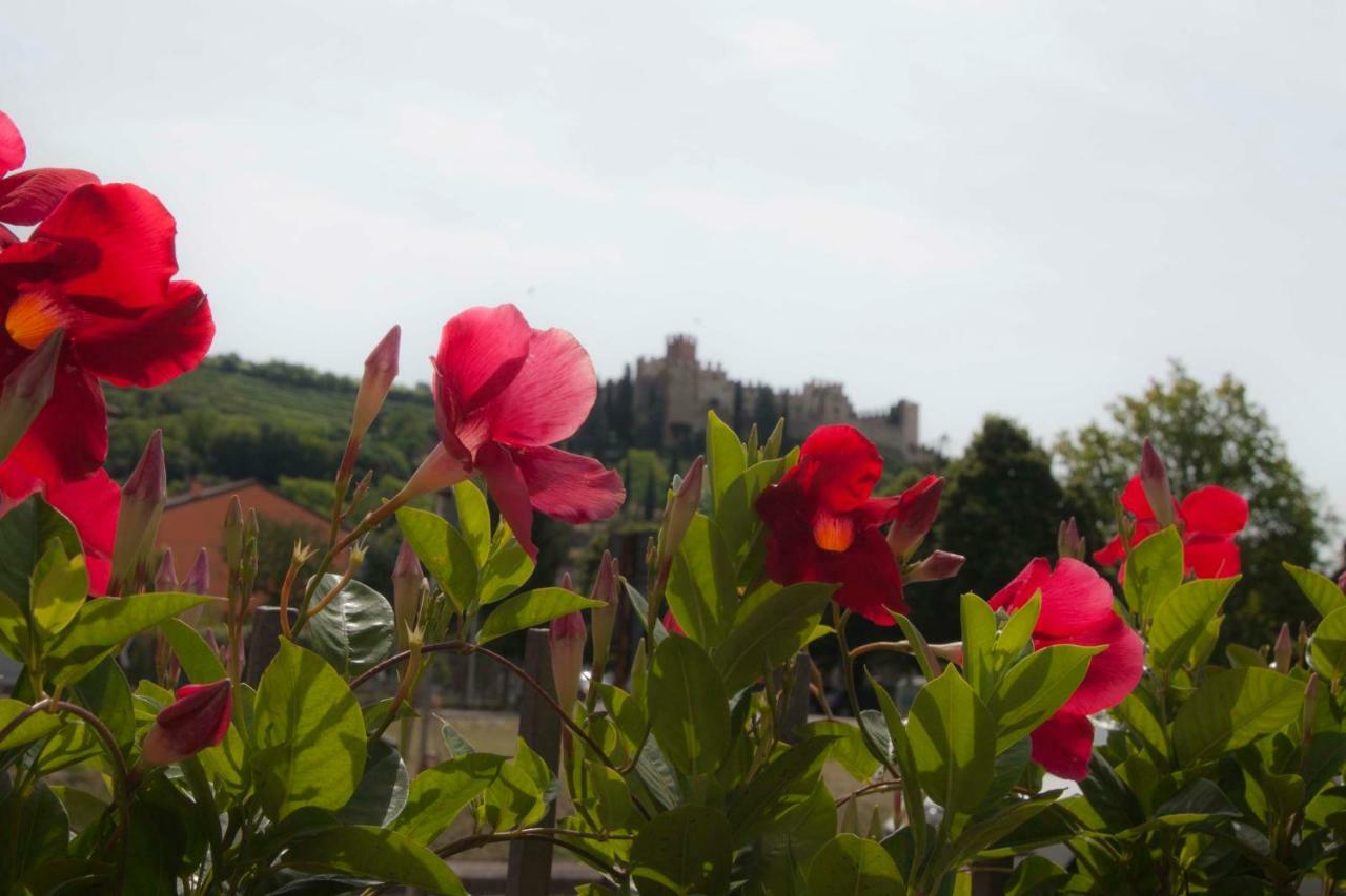 La Finestra Sul Castello Hotel Soave  Exterior photo